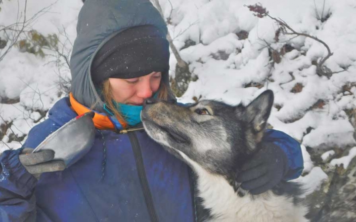 A person wearing heavy snow gear touches noses with a sled dog